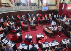 En una sesión presidida por Vivona el Senado bonaerense avanzó con la modificación a la ley de adopción